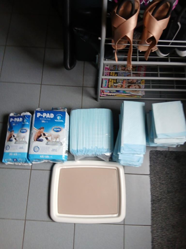 Puppy training met pads toiletset, Dieren en Toebehoren, Ophalen