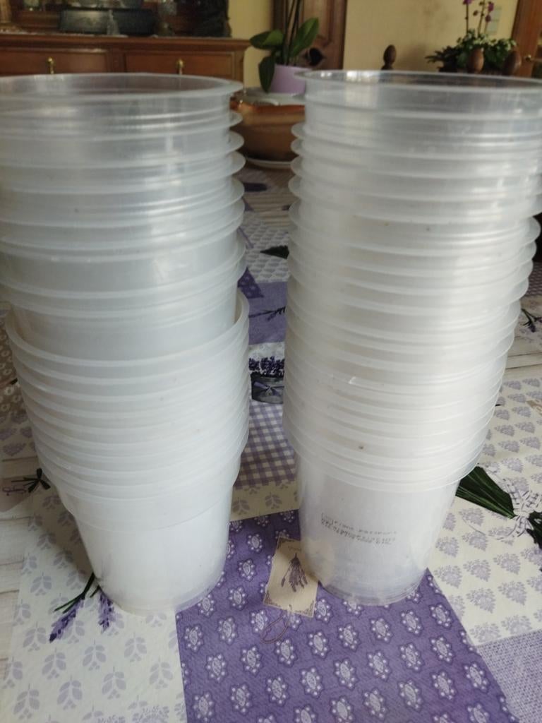 40 pots transparents en plastique