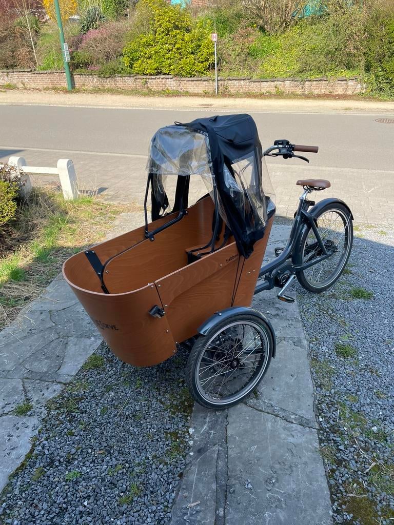 Vélo cargo Babboe Carve Mountain, Enlèvement, Comme neuf, 2 enfants, Électrique