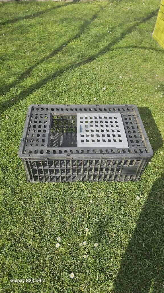 cage de transport, Animaux & Accessoires, Boîtes de transport, Enlèvement, Utilisé