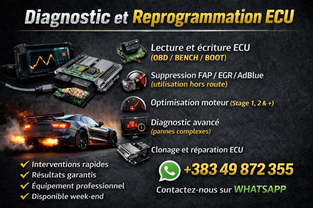 Diagnostic Auto Performance, Autos : Divers, Outils de voiture, Enlèvement