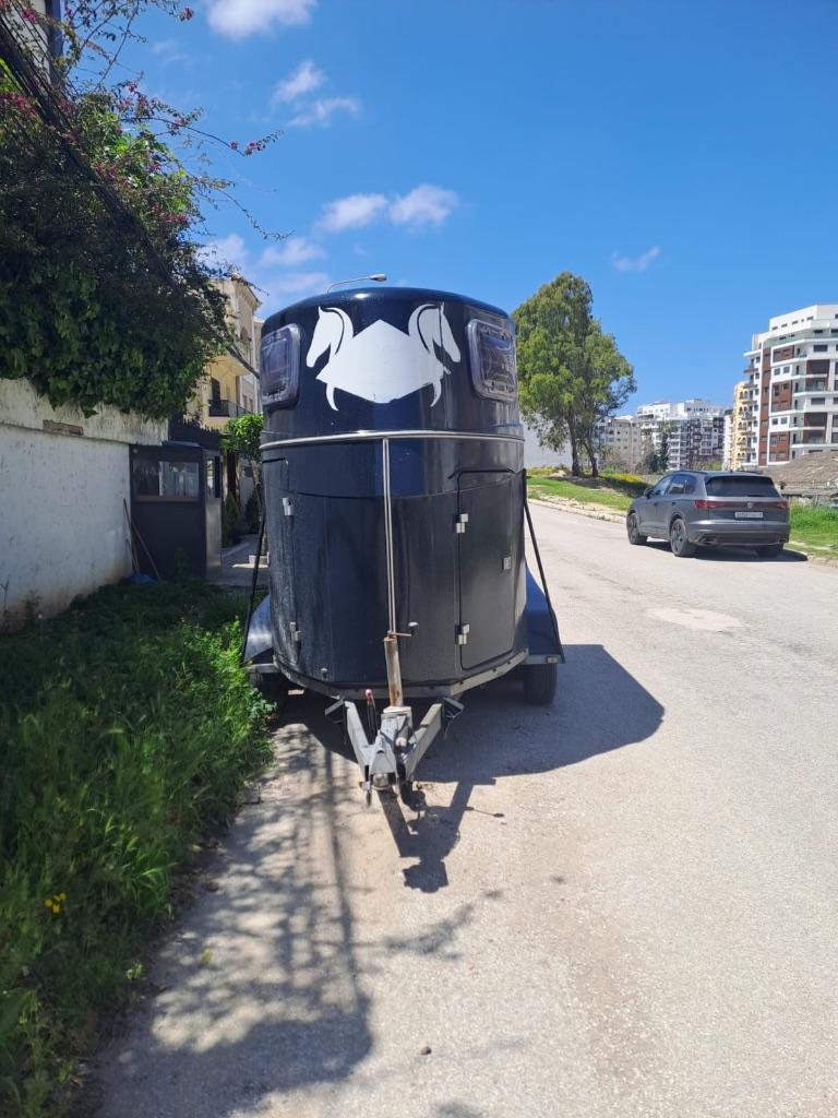 Paardenaanhangwagen, Dieren en Toebehoren, Paarden en Pony's | Trailers en Aanhangwagens, Ophalen, Gebruikt, Polyester, 2-paards trailer