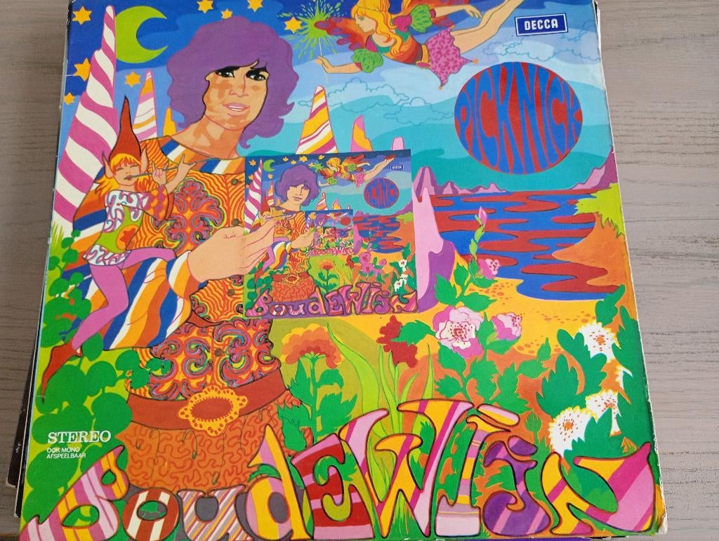 Boudewijn De Groot - Picknick, Cd's en Dvd's, Vinyl | Nederlandstalig, Ophalen of Verzenden, Gebruikt, 12 inch, Overige genres