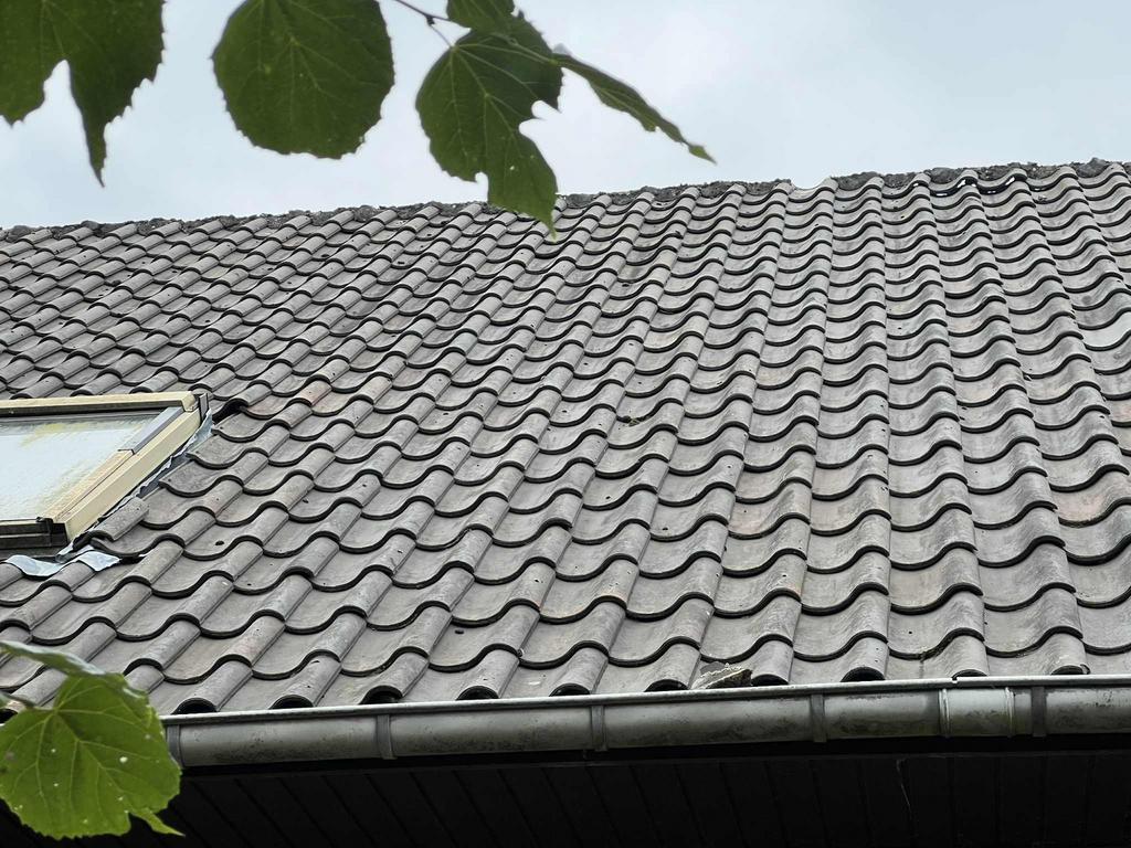 Dakpannen JD Belfeld, Ophalen, Gebruikt, Dakpannen