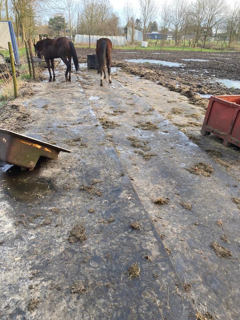 Slijk beu/rubbermatten leggen in paddock