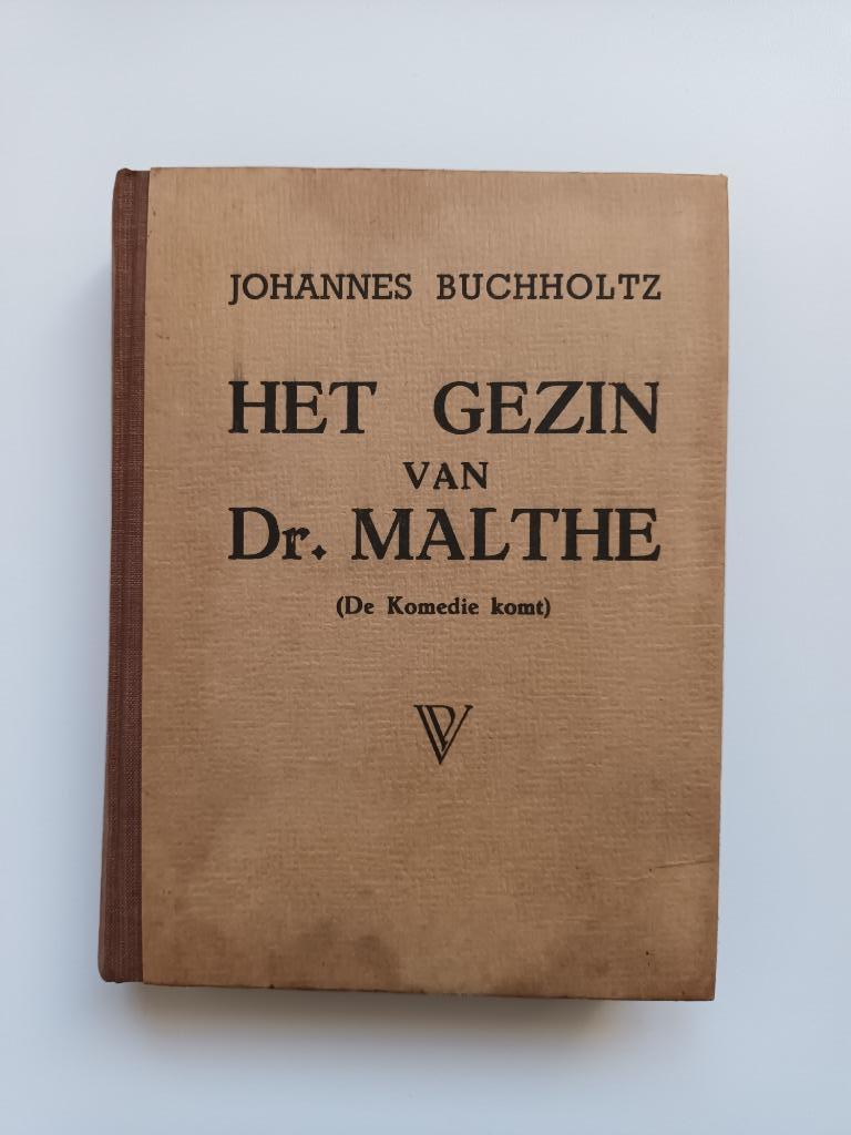 Het gezin van Dr. Malthe (Johannes Buchholtz), Antiek en Kunst, Ophalen of Verzenden, Johannes Buchholtz