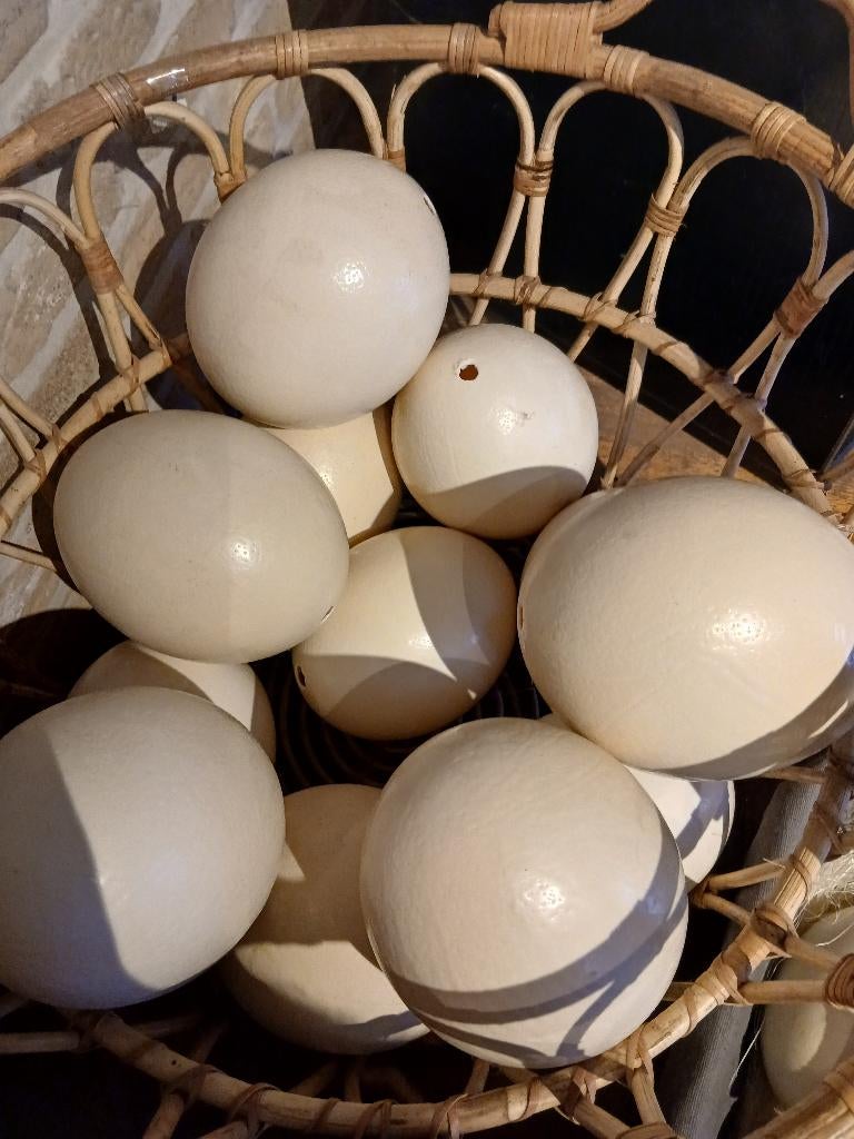 Struisvogeleieren, Ophalen, Nieuw, Knutselwerk