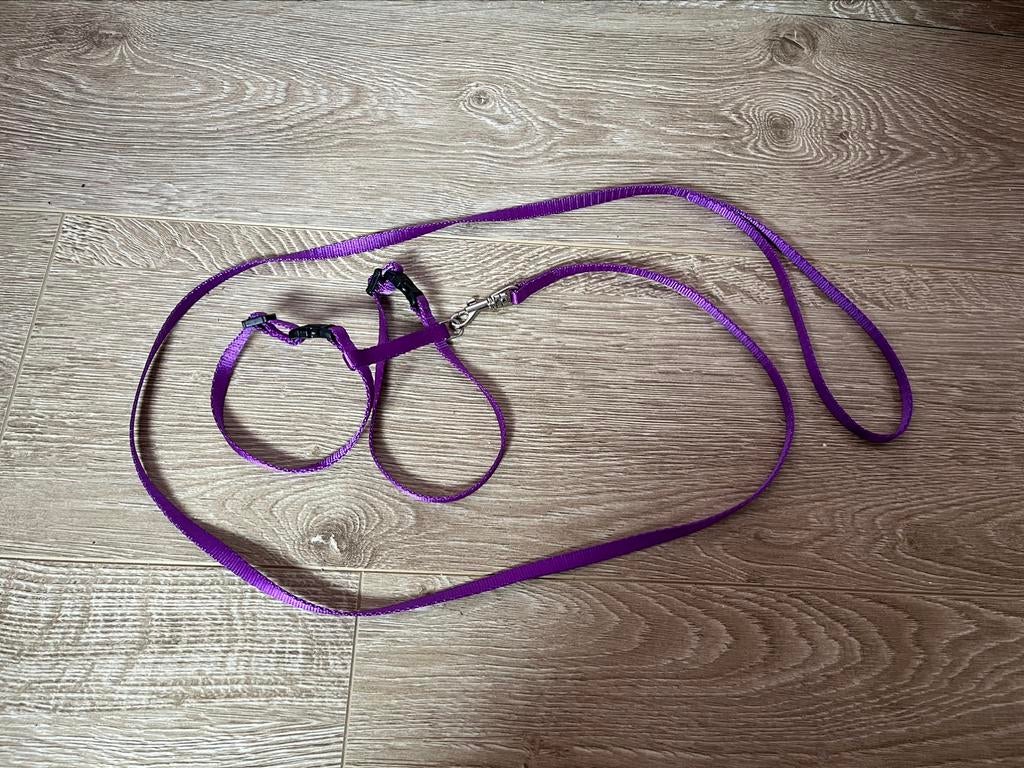 Collier/harnais pour chaton violet, Enlèvement ou Envoi, Comme neuf