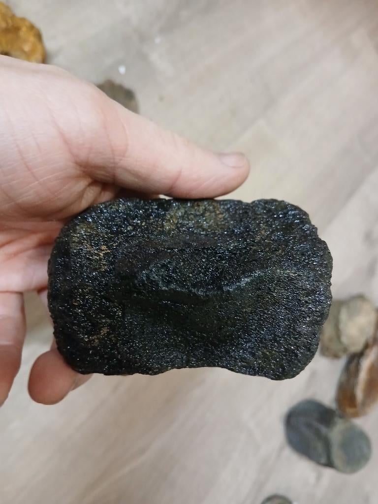 Fossiele walviswervel, Ophalen of Verzenden