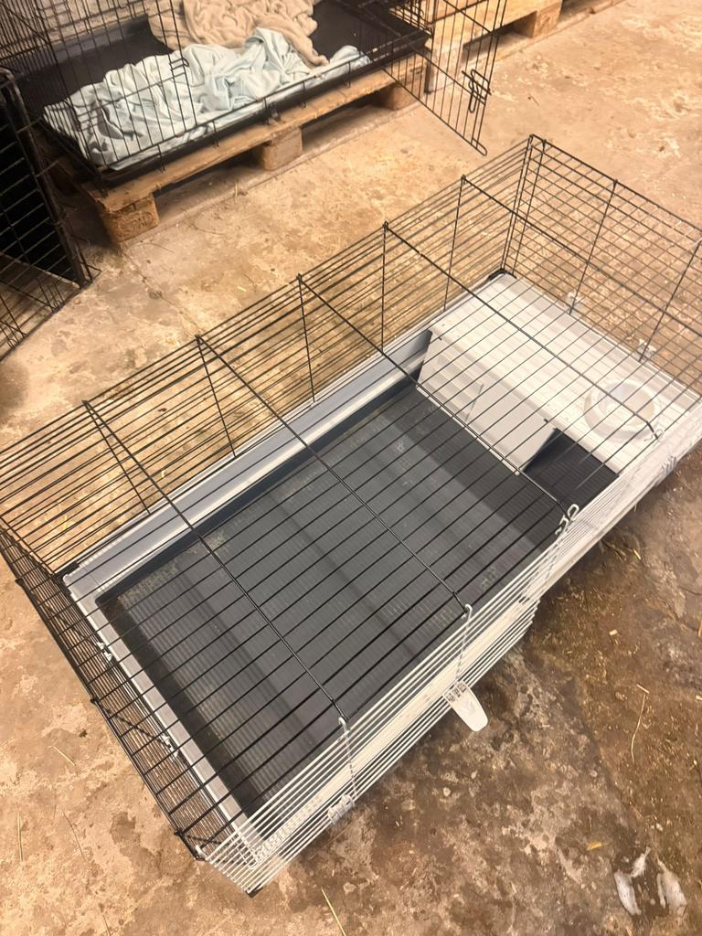 2 grote kooien, Ophalen, Zo goed als nieuw, Cavia
