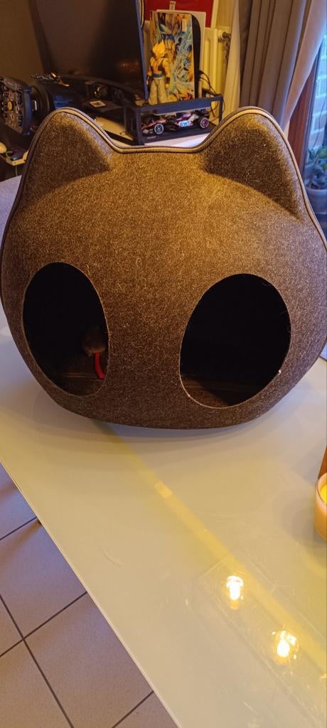 Lit pour chat, Animaux & Accessoires, Enlèvement