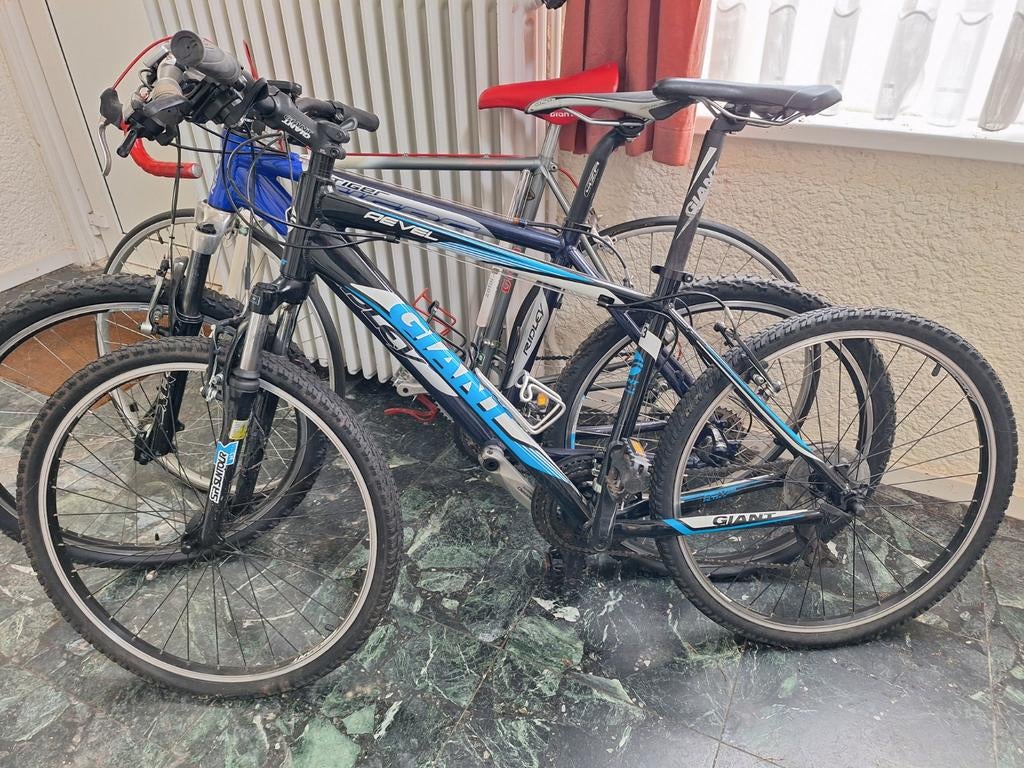 Ridley + giant atb, Fietsen en Brommers, Ophalen, Giant