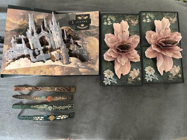 Tomorrowland bracelet boxen and bracelets, Ophalen