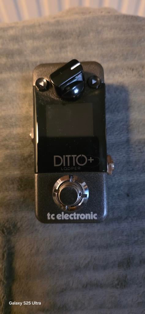 Tc electronic ditto looper plus digital, Muziek en Instrumenten, Effecten, Ophalen of Verzenden, Nieuw