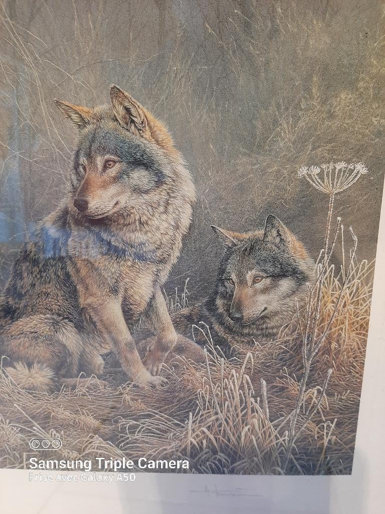 Litho van André Buzin, de wolven., Antiek en Kunst, Ophalen