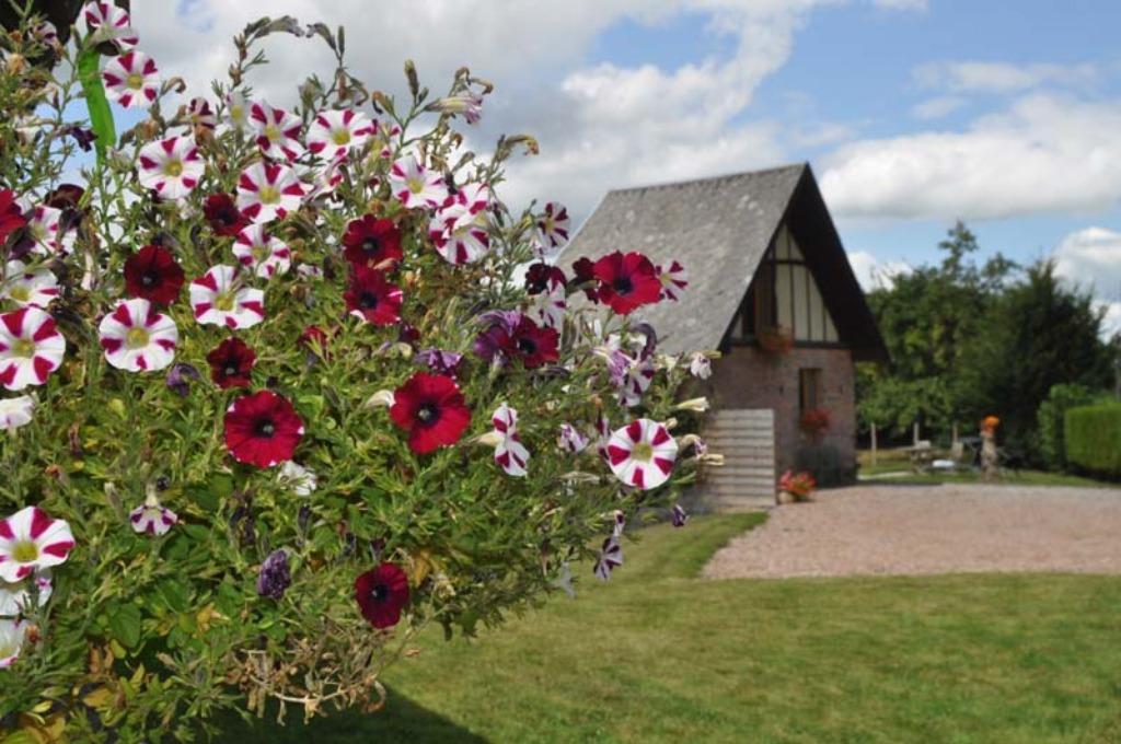 gîte de vacances pour 2 personnes, Vacances, Propriétaire, Bois/Forêt, Campagne, 1 chambre