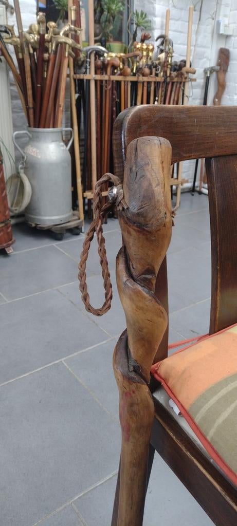 Natuurlijke wandelstok, Diversen, Wandelstokken