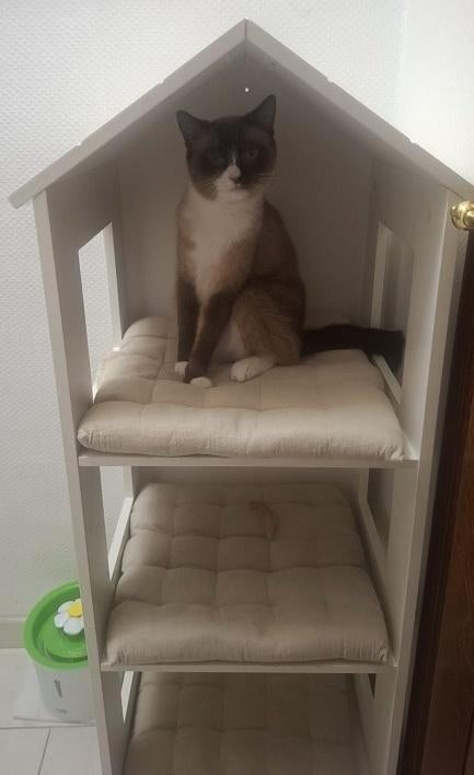 Jolie maison pour chats en bois blanc et de bonne qualité, Animaux & Accessoires, Enlèvement, Utilisé