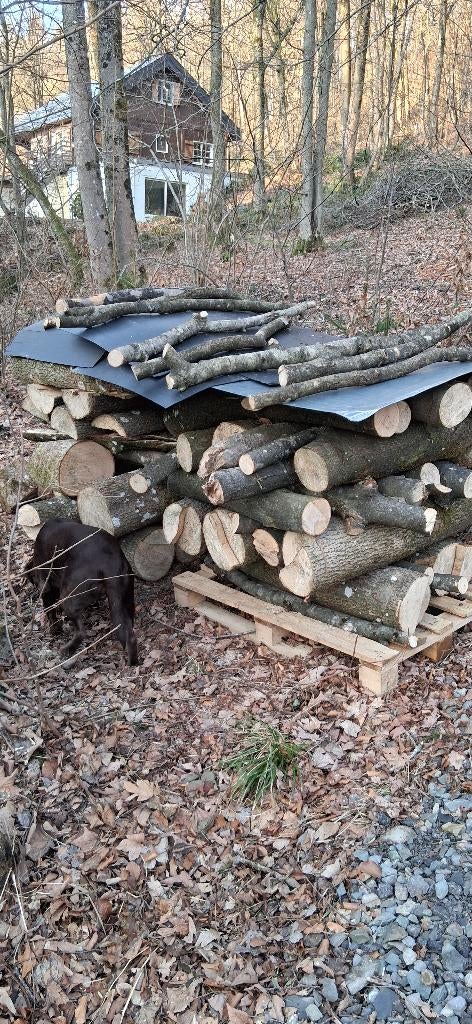 openhaard kachel hout brandhout kachelhout openhaardhout, Tuin en Terras, Brandhout, 6 m³ of meer, Ophalen, Stammen