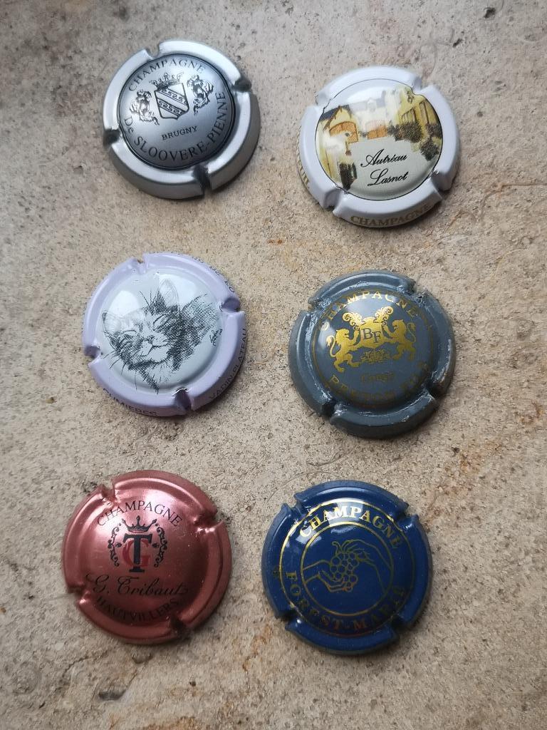 6 champagne capsules, Verzamelen, Ophalen of Verzenden, Champagne