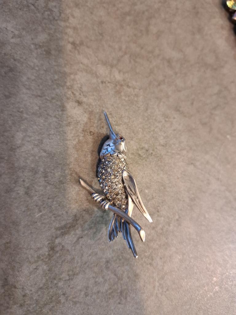 Zilveren broche (  zonder sluiting achteraan), Enlèvement