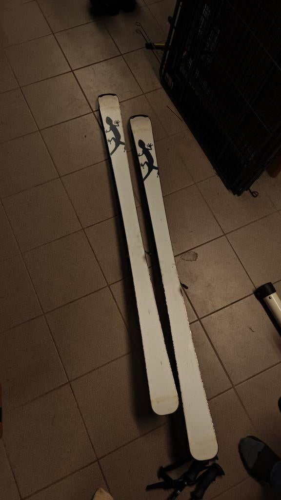 Ski latten audi 160, Dieren en Toebehoren, Ophalen