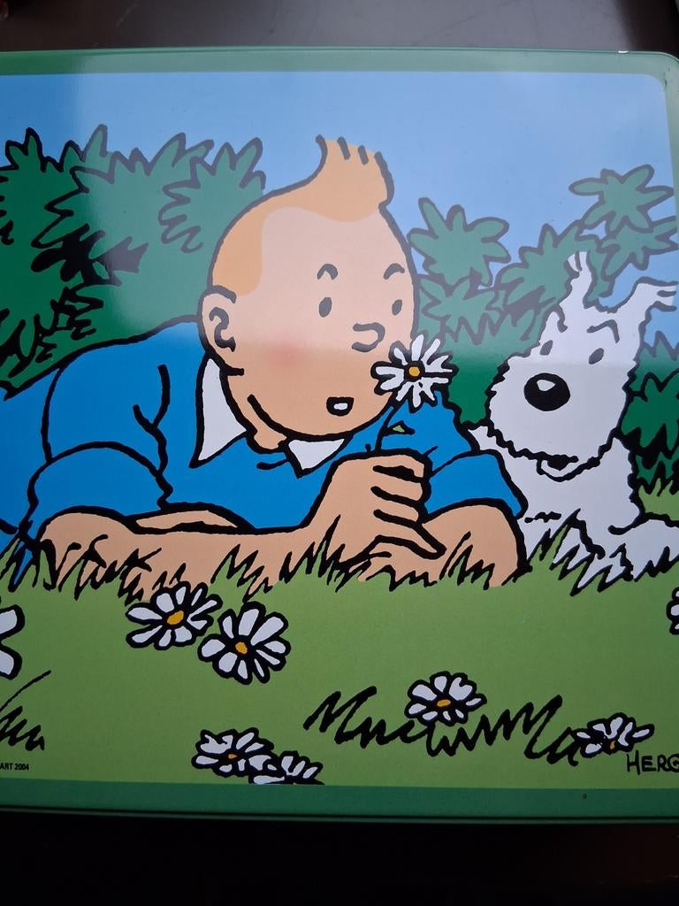 Blikken doos Kuifje Delacre, Verzamelen, Ophalen of Verzenden