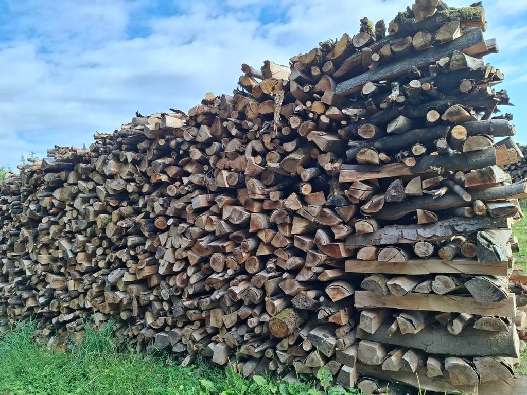 A vendre bois de chauffage, Jardin & Terrasse, Hêtre