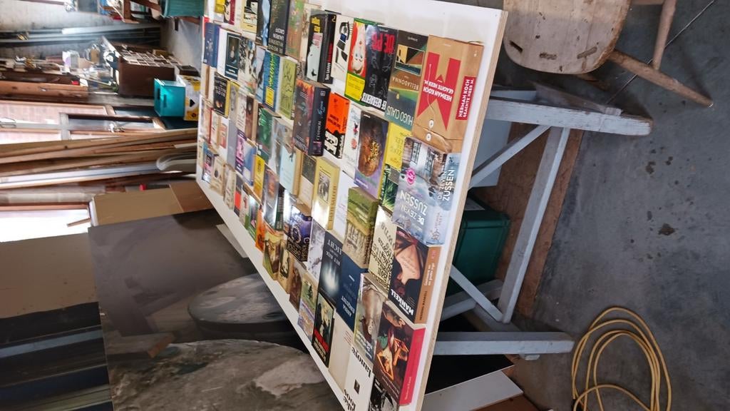 LITERATUUR. VARIA. SPOTPRIJS VOOR GEHEEL 150€, Boeken, Literatuur, Gelezen, Ophalen