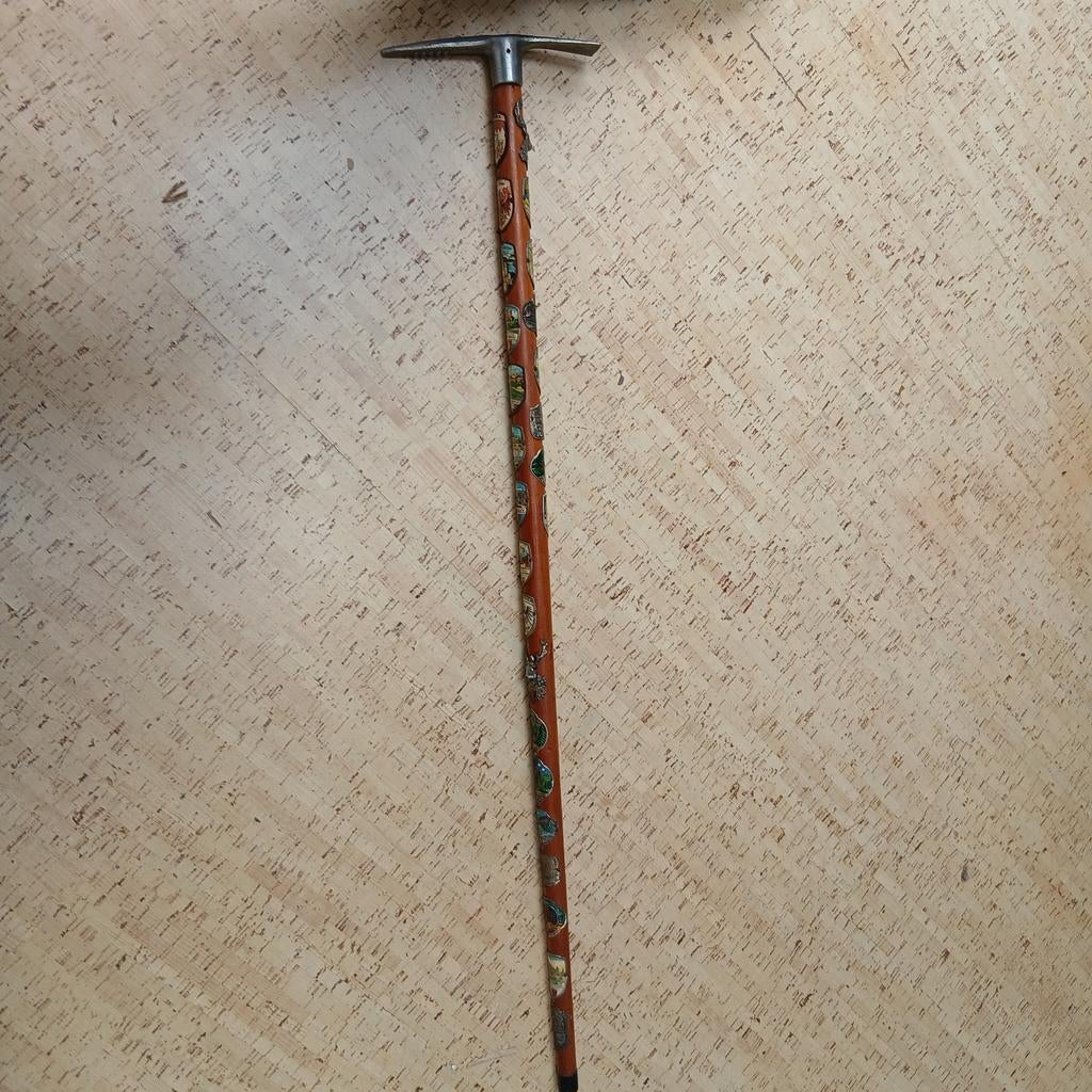 Wandelstok uit Oostenrijk, Ophalen of Verzenden