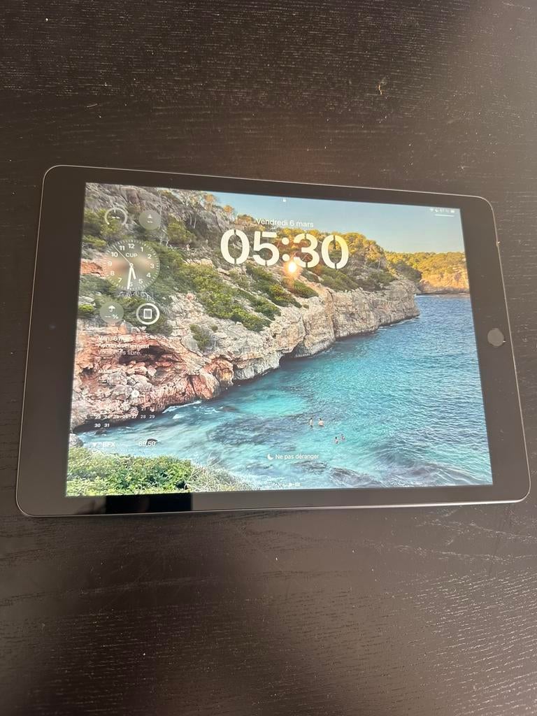 Ipad 9e generation, Informatique & Logiciels, Apple iPad Tablettes, Gris, Apple iPad, Reconditionné, 10 pouces