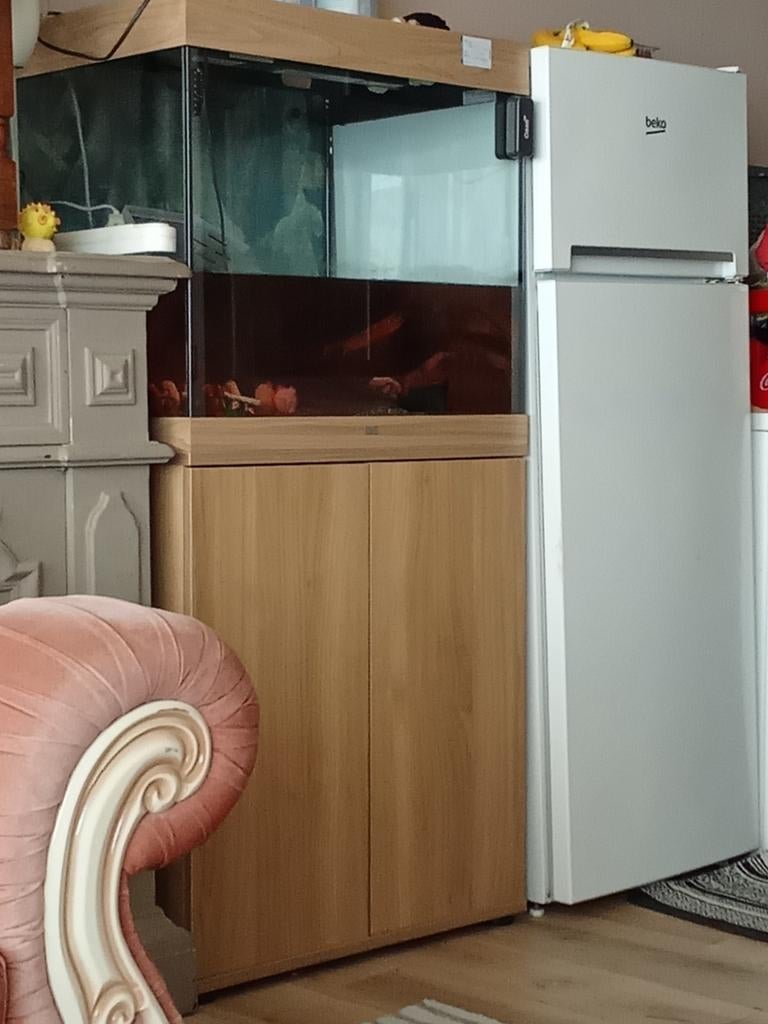 goedkoop, Ophalen of Verzenden