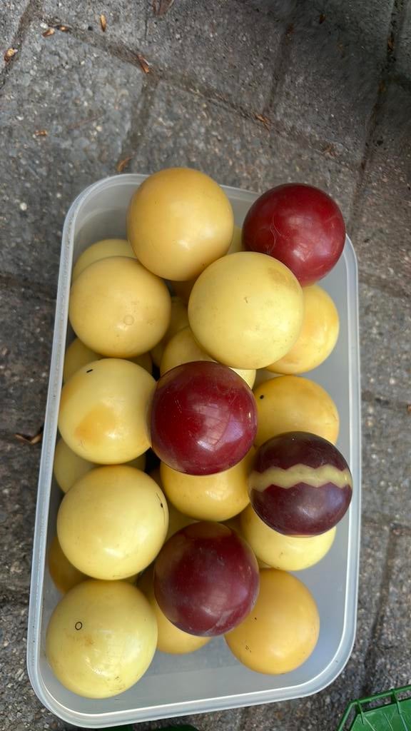 Oude biljartballen, Ophalen of Verzenden