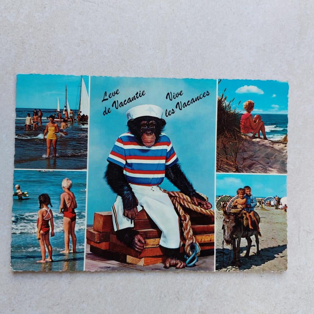 Leuke postkaart met aap, Verzamelen, Ophalen of Verzenden