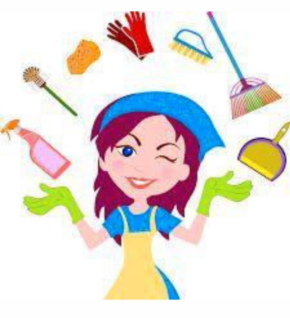 Aide ménagère expérimentée – Sambreville et alentours, Vacatures, Vacatures | Schoonmaak en Facilitaire diensten