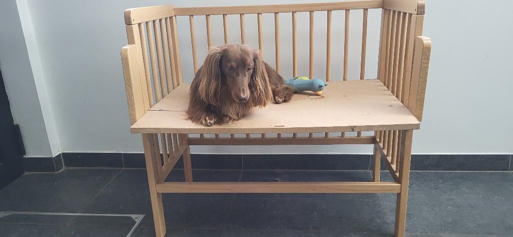 Co-sleeper voor honden, Animaux & Accessoires, Enlèvement, Utilisé