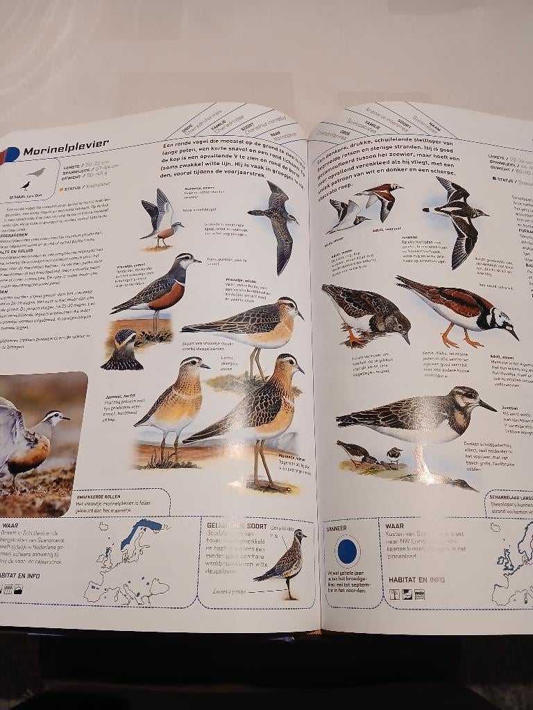 Alle vogels van Europa. Prachtig boek, Boeken, Natuur, Ophalen, Nieuw, Vogels