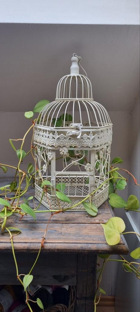 Cage à oiseaux ancienne/cage décorative, Enlèvement