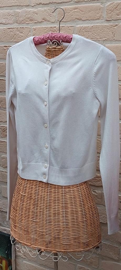 Vest maat s h&m, Vêtements | Femmes, Pulls & Gilets, H&M, Enlèvement ou Envoi, Taille 36 (S), Comme neuf