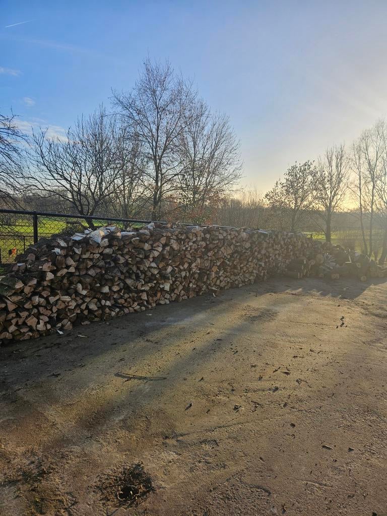 1m³ brandhout es - wilg mengeling los, Tuin en Terras, Brandhout, Verzenden