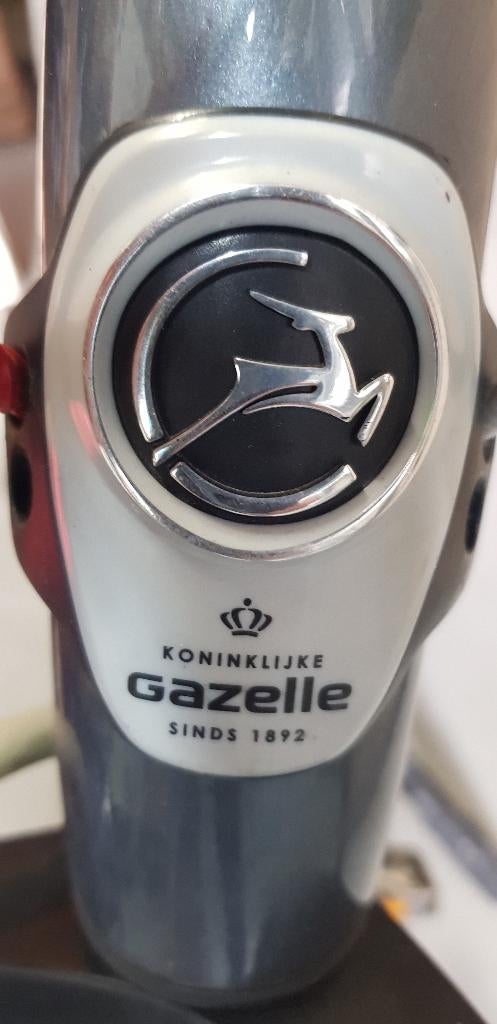 Elektrische dames fiets, Fietsen en Brommers, Ophalen, Gebruikt, 47 tot 50 cm, Versnellingen