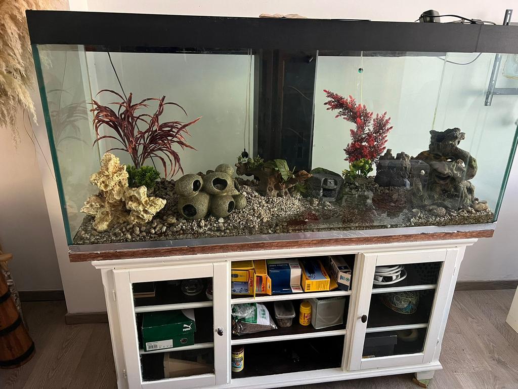 Aquarium, Enlèvement, Comme neuf