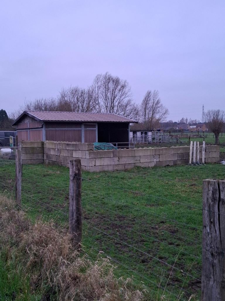 Weide met stal, Immo, Gronden en Bouwgronden, Zonnebeke 8980, 1500 m² of meer