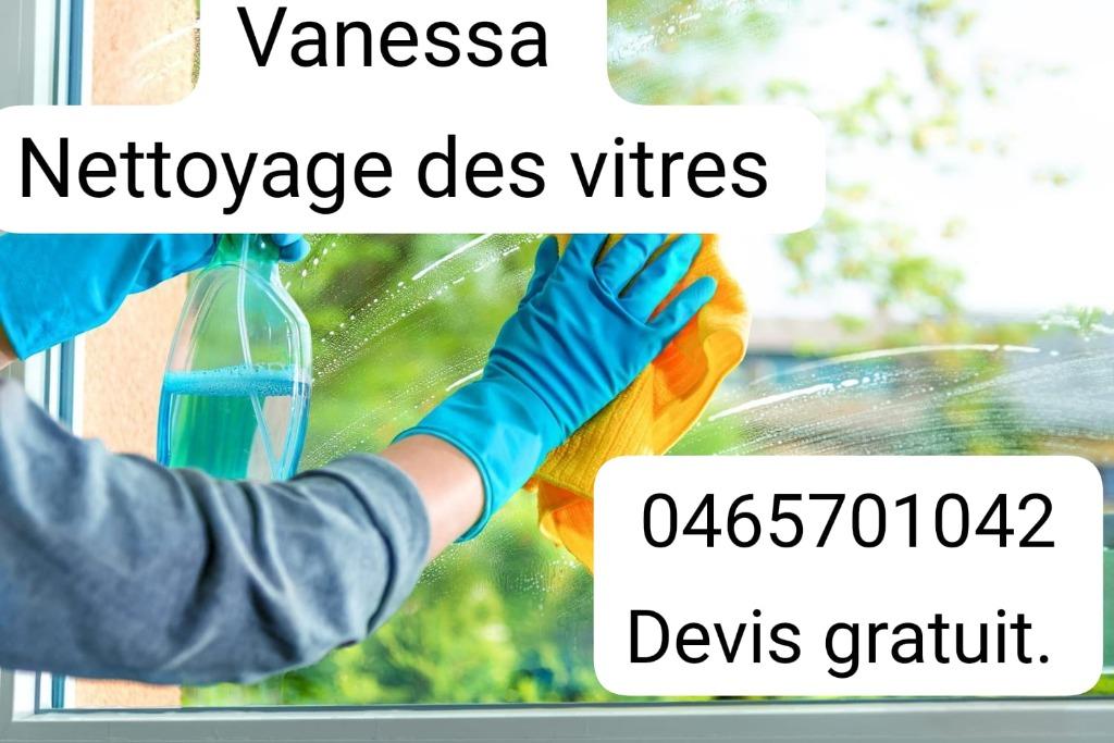Nettoyage des vitres