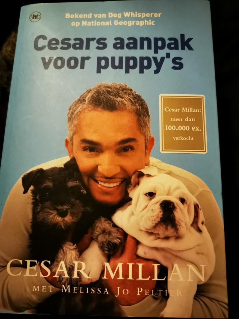 Césars Millan aanpak voor puppy's boek als nieuw,, Animaux & Accessoires, Enlèvement ou Envoi, Comme neuf