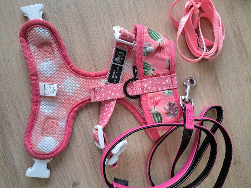 Hondentuigje, Animaux & Accessoires, Enlèvement, Comme neuf