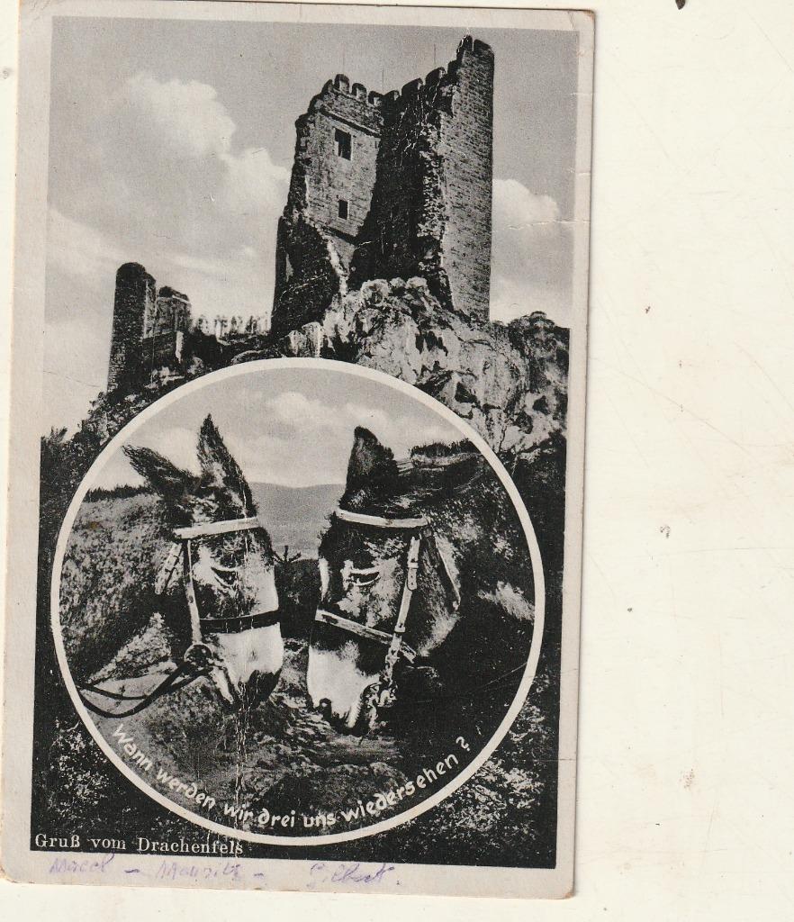 oude postkaart van twee ezels zie foto , ook thuis alhalen ,, Verzamelen, Postkaarten | Dieren, Verzenden, 1920 tot 1940, Gelopen