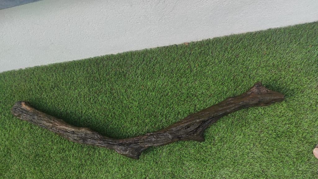 Racine pour aquarium 135 cm, Animaux & Accessoires, Enlèvement, Comme neuf