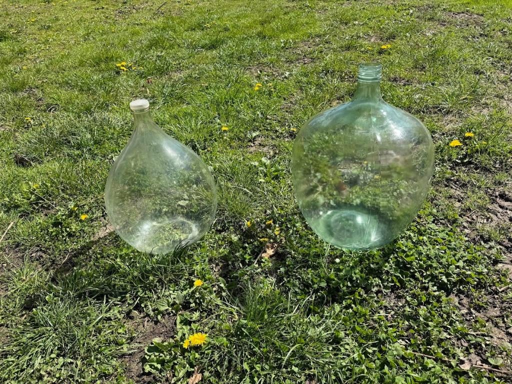 Bouteilles de vin Dame Jeanne, Collections, Enlèvement, Utilisé, Autres types