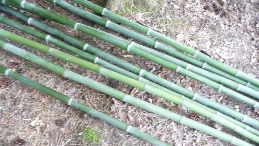 pak dikke bamboe stokken, Tuin en Terras, Ophalen